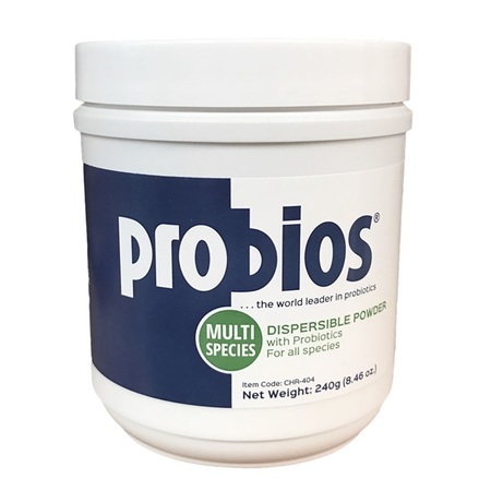 VETS PLUS Probios Powder 240 grams 851-240GM